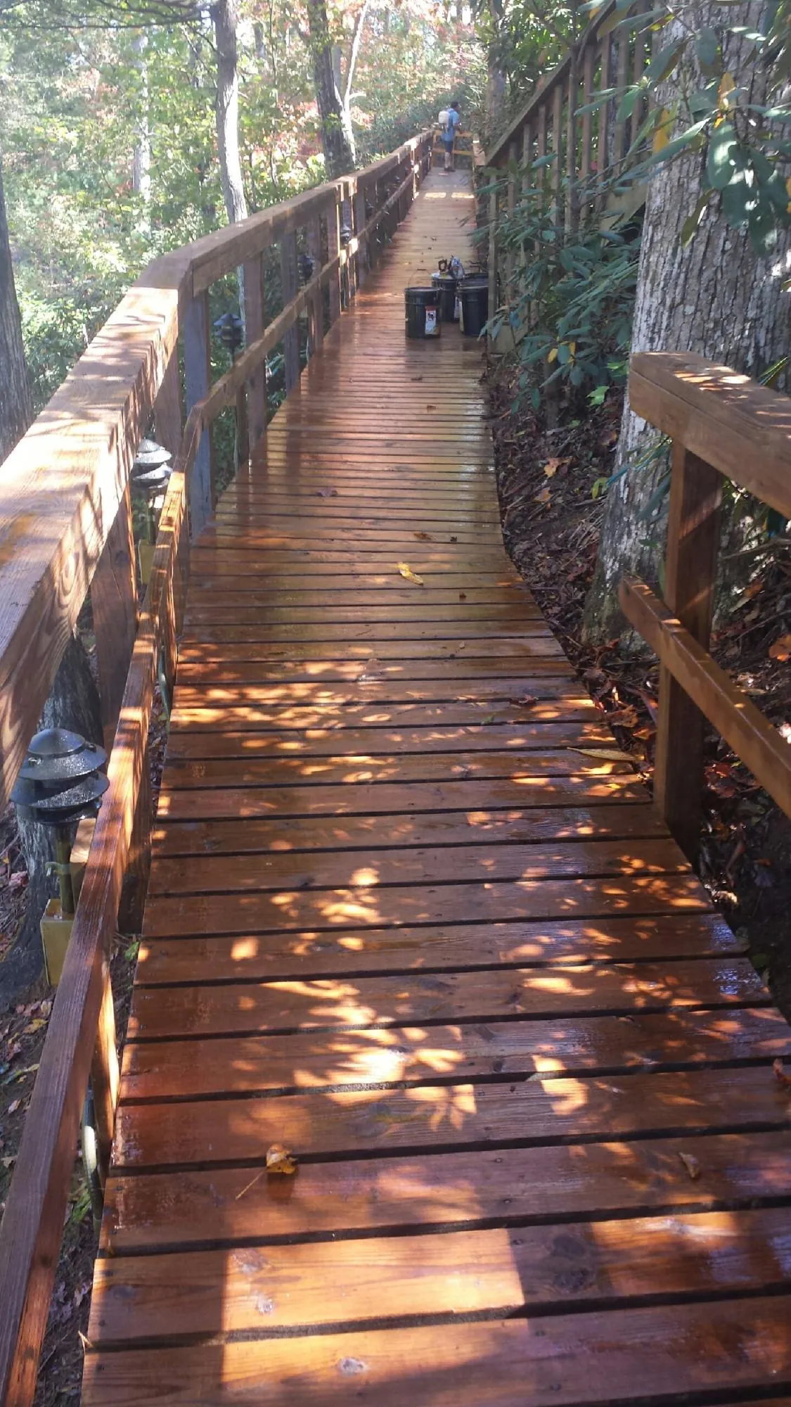 Freshly stained wood walkway winding through the woods in Bensalem
